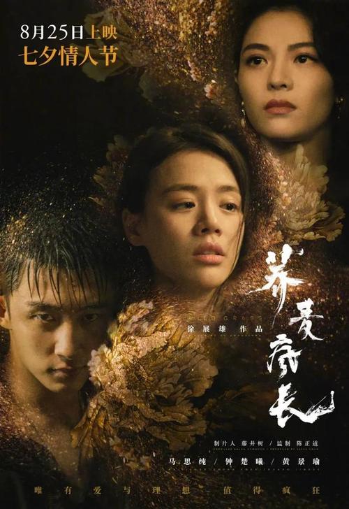 护士申请人学历证书是什么